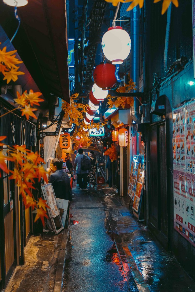 Piss Alley Tokyo Ly Thanh Co 2